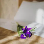 Alkor Hotel